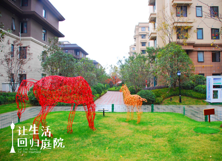 前后张望南阳50年：这样的庭院，，，，，，很难再有了！