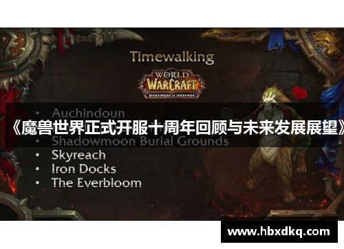 《魔兽世界正式开服十周年回顾与未来发展展望》
