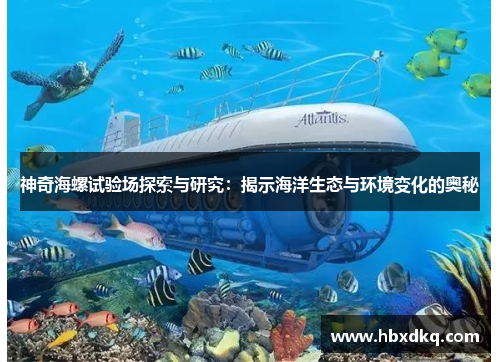 神奇海螺试验场探索与研究：揭示海洋生态与环境变化的奥秘
